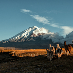 Ecuador
